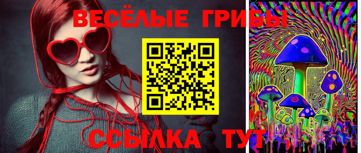 Новотроицк  Псилоцибиновые грибы Magic Shrooms  Псилоцибиновые грибы Cubensis  Вход с VPN 